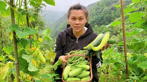 菜地里的野瓜可以吃吗视频,菜地里的天然美食之旅
