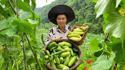 菜地里的野瓜可以吃吗视频,菜地里的天然美食之旅  第2张