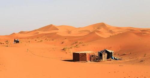 在沙漠吃沙漠瓜会死吗视频