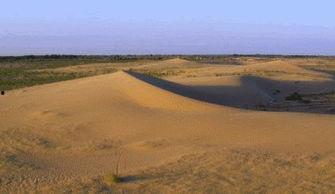 在沙漠吃沙漠瓜会死吗视频  第2张