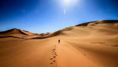 在沙漠吃沙漠瓜会死吗视频  第3张