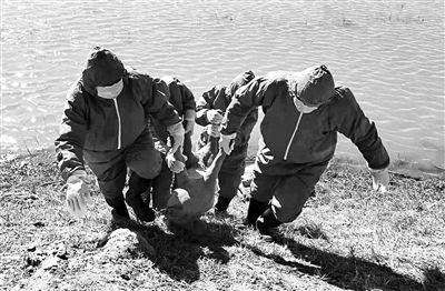 白浪河吃瓜群众事件视频,一场网络舆论的风暴与反思  第3张