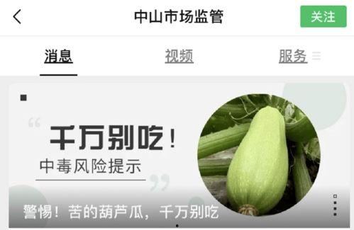 小狗吃葫芦瓜的视频大全,小狗大快朵颐葫芦瓜视频集锦