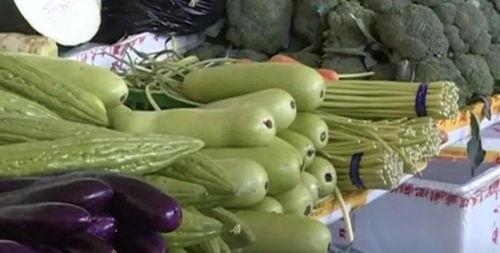 小狗吃葫芦瓜的视频大全,小狗大快朵颐葫芦瓜视频集锦  第3张