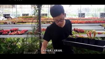 浙江音乐老师吃瓜视频,揭秘娱乐圈幕后真相  第2张