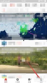 吃瓜照怎么拍视频设备,一镜到底，揭秘吃瓜照变视频的神奇之旅  第3张