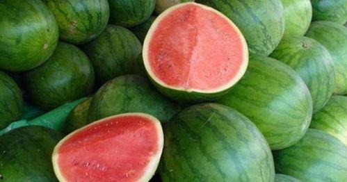 吃瓜来了视频大全,揭秘热门视频大全背后的精彩故事  第2张