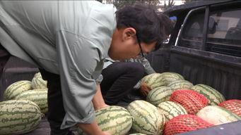 群众欢乐吃瓜视频,吃瓜视频里的欢乐时光  第3张