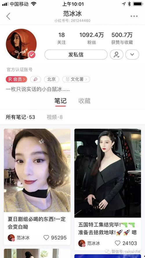 吃瓜视频日常在线观看,揭秘热门视频背后的网络热点