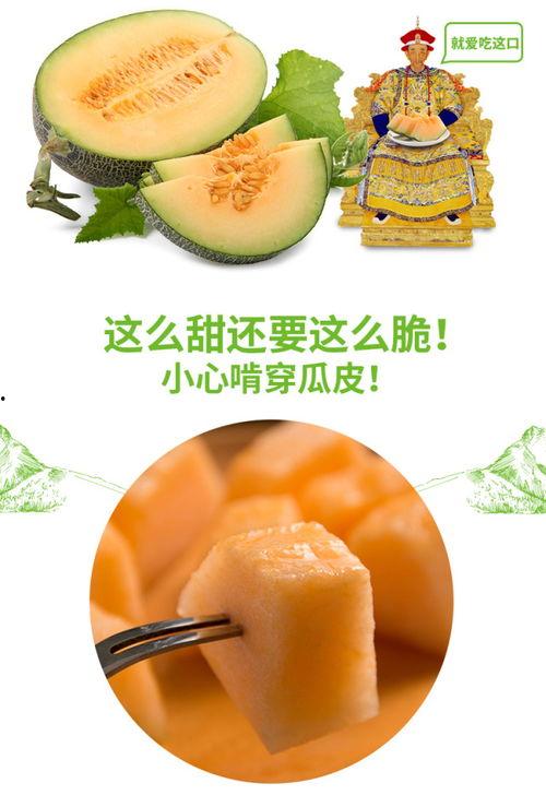 日本蜜瓜如何吃最好吃视频,视频教你如何品尝最佳口感 第3张 日本蜜瓜如何吃最好吃视频,视频教你如何品尝最佳口感 第3张