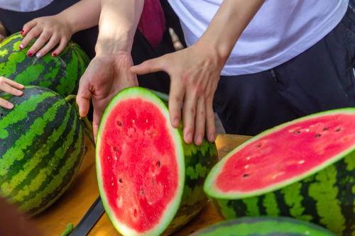 云南高校近期吃瓜视频 第3张 云南高校近期吃瓜视频 第3张