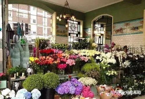 花店老板最新吃瓜视频,揭秘娱乐圈幕后真相  第3张