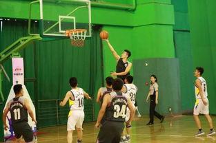 吃瓜群众灌篮高手视频,揭秘篮球场上的激情与热血！  第2张