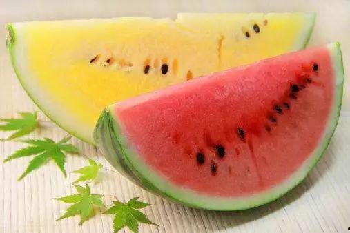 黄提吃瓜视频,揭秘娱乐圈幕后真相  第2张