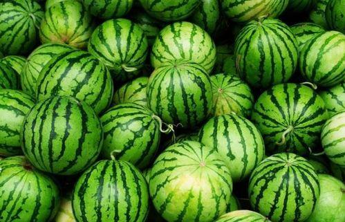 吃瓜四个视频第,揭秘“吃瓜群众”背后的四大热门视频