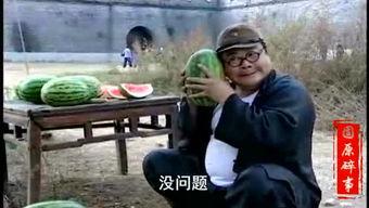 晋源吃瓜事件始末视频完整版,揭秘网络热议背后的真相与争议