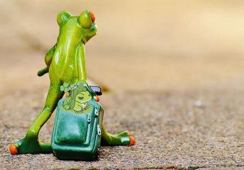 吃瓜青蛙人偶原视频,揭秘网络爆红背后的故事  第2张