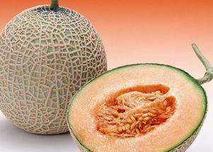 蜗牛吃哈密瓜的视频,萌态十足引网友热议 第3张 蜗牛吃哈密瓜的视频,萌态十足引网友热议 第3张