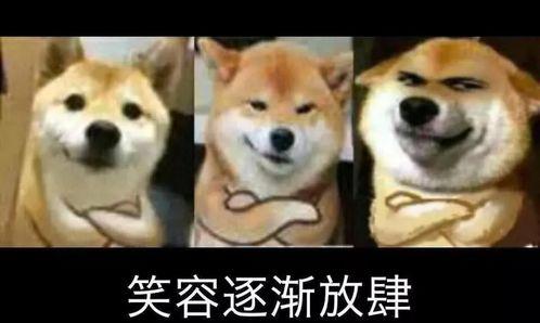 最后的赢家吃瓜视频,揭秘最后的赢家吃瓜视频幕后故事