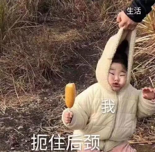 带你吃瓜沙雕雪糕视频  第2张