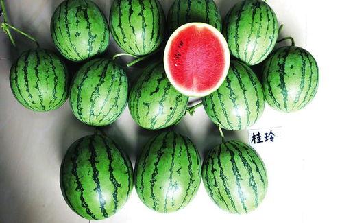 广西吃瓜视频爆料最新,揭秘背后惊人真相！”  第2张