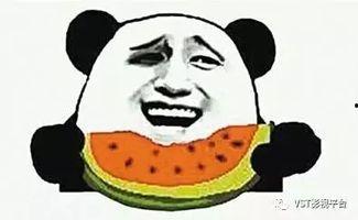 吃瓜群众捏彩泥视频大全,吃瓜群众创意无限，趣味横生的手工时光