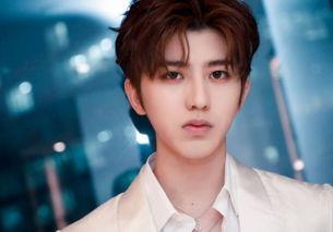 吃瓜狗仔蔡徐坤视频下载,下载背后的故事与真相