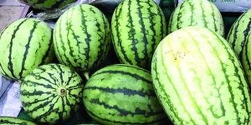 西瓜视频在哪里吃瓜,畅享“吃瓜”盛宴，解锁热门视频新姿势  第2张