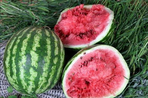 西瓜视频在哪里吃瓜,畅享“吃瓜”盛宴，解锁热门视频新姿势  第3张