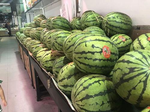 大量吃瓜视频,揭秘海量吃瓜视频背后的趣味与真相  第3张