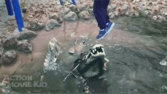 瓜哥吃瓜美人鱼视频,美人鱼视频背后的惊人真相  第2张