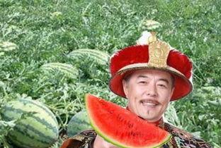 瓜农翻车路上吃瓜视频,这瓜太香了! 第2张 瓜农翻车路上吃瓜视频,这瓜太香了! 第2张