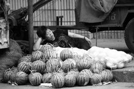 瓜农翻车路上吃瓜视频,这瓜太香了! 第3张 瓜农翻车路上吃瓜视频,这瓜太香了! 第3张