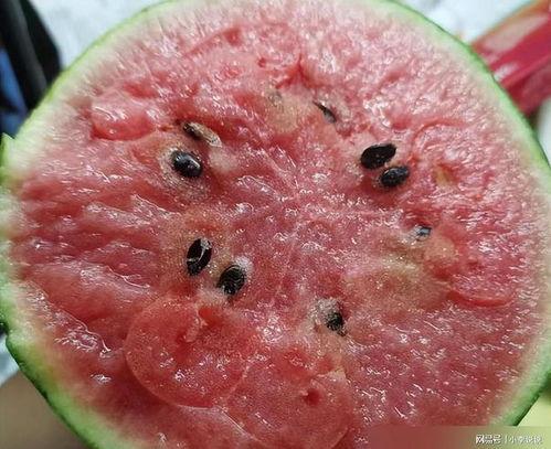 吃瓜能杀死细菌吗视频,揭秘日常小零食的神奇功效  第3张