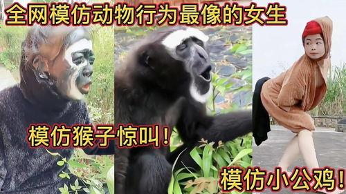 模仿女人吃瓜视频,揭秘女性吃瓜视频的趣味与魅力 第3张 模仿女人吃瓜视频,揭秘女性吃瓜视频的趣味与魅力 第3张