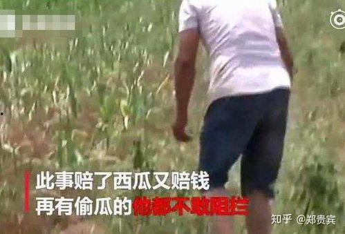 广宗吃瓜事件真相揭秘视频 第3张 广宗吃瓜事件真相揭秘视频 第3张