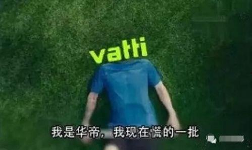 鸡贼王吃瓜视频,揭秘娱乐圈背后的秘密与真相  第3张