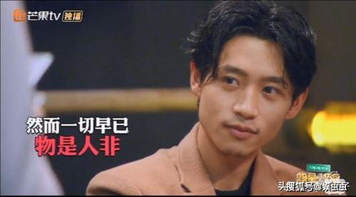 魏晨大侦探吃瓜视频全集,揭秘娱乐圈幕后真相  第3张