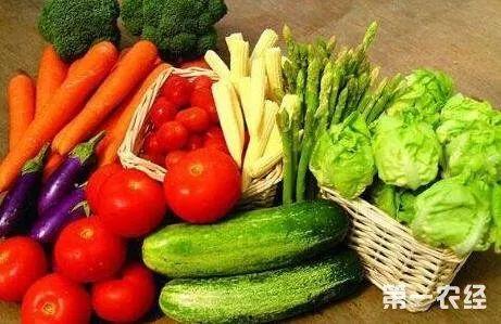 美食聪慧吃瓜视频在线观看,跟随聪慧吃瓜视频，在线解锁美味世界