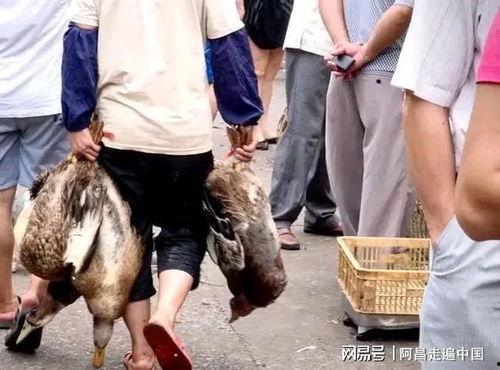 广西艺校吃瓜事件视频  第3张