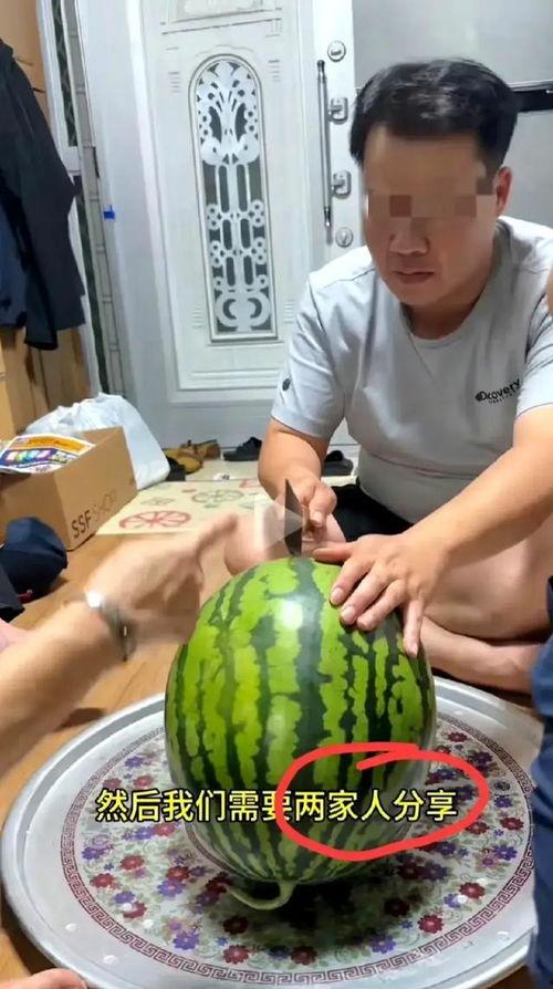 怎么拍视频吃瓜,揭秘如何拍出吸睛的吃瓜视频  第2张