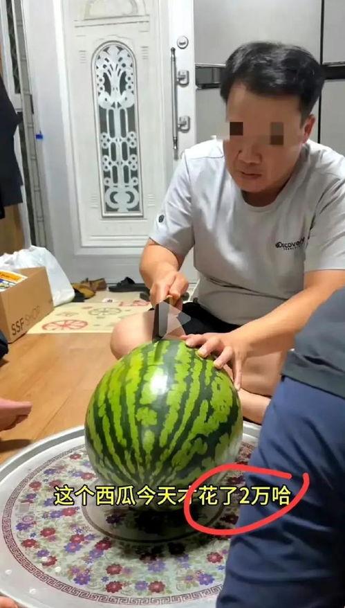 怎么拍视频吃瓜,揭秘如何拍出吸睛的吃瓜视频  第3张