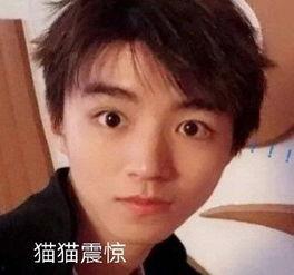 明星吃瓜王俊凯视频  第3张