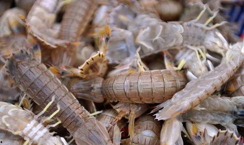 皮皮虾吃瓜囧事视频,笑料百出，欢乐无限  第2张