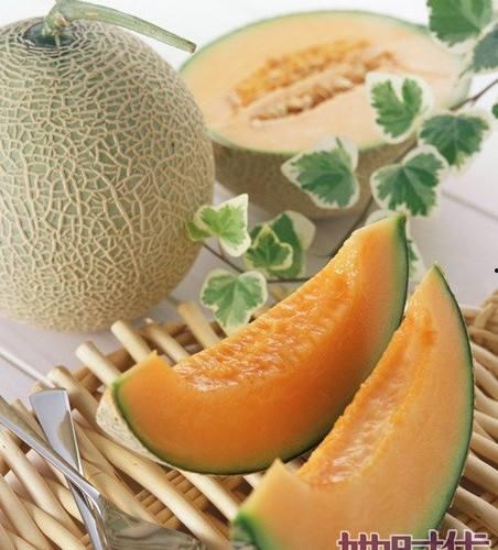 网红大鹅吃哈密瓜视频  第2张