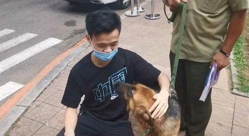 警犬吃瓜视频播放,萌态可掬引网友热议  第2张