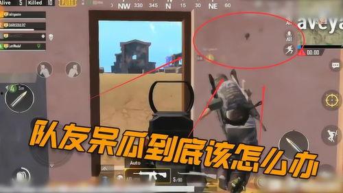 吃鸡司马呆瓜视频,笑料百出！吃鸡司马呆瓜搞笑瞬间大盘点  第2张