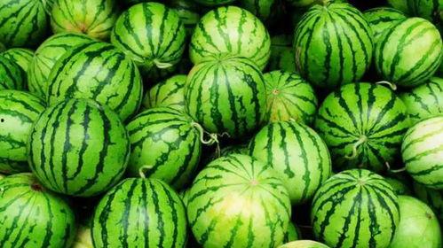 金融行业吃瓜视频,揭秘吃瓜视频背后的金融行业真相 第3张 金融行业吃瓜视频,揭秘吃瓜视频背后的金融行业真相 第3张