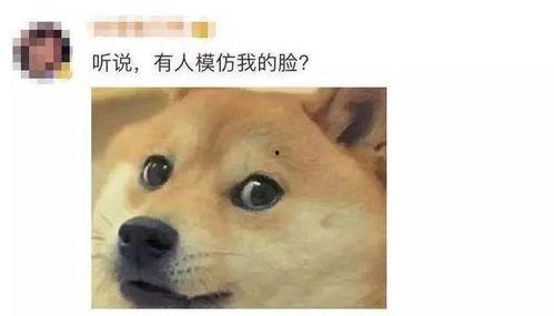 狗头君吃瓜视频播放,揭秘热门话题背后的真相 第2张 狗头君吃瓜视频播放,揭秘热门话题背后的真相 第2张