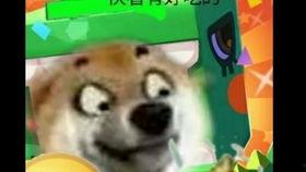 狗头君吃瓜视频播放,揭秘热门话题背后的真相 第3张 狗头君吃瓜视频播放,揭秘热门话题背后的真相 第3张